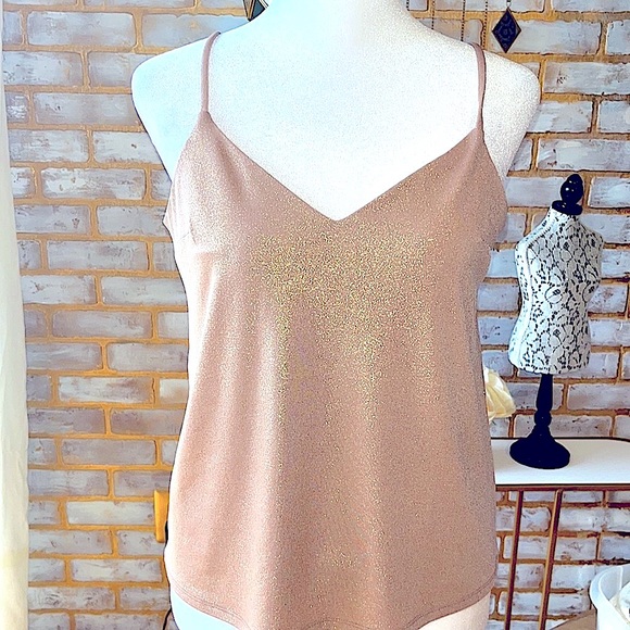Express Metallic V-Neck Downtown Cami in the color “Ginger” Women’s Size X-Small - Picture 5 of 11